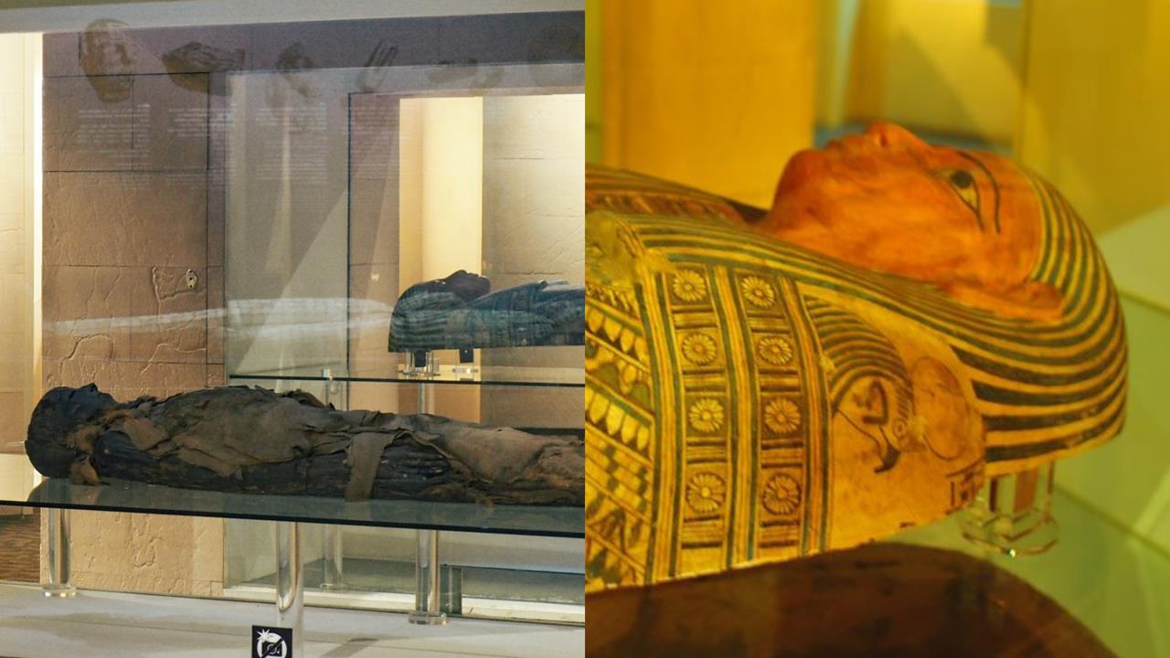 台中科博館2樓「木乃伊是真屍」官方證實了！網全嚇瘋：難怪小時候去超暈