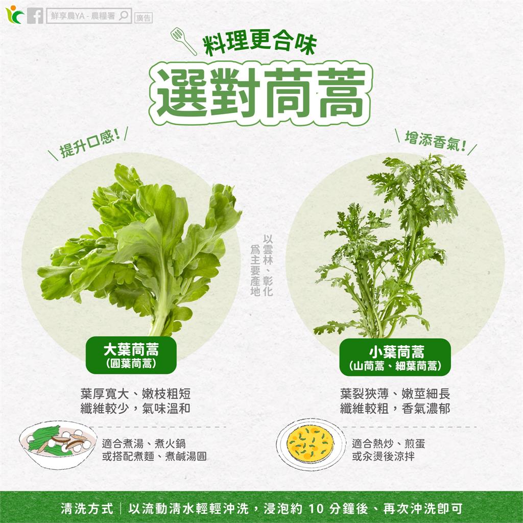 冬季火鍋怎麼煮最對味？這種茼蒿最適合當配料