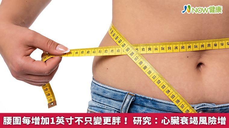 腰圍每增加1英寸不只變更胖！研究：心臟衰竭風險增