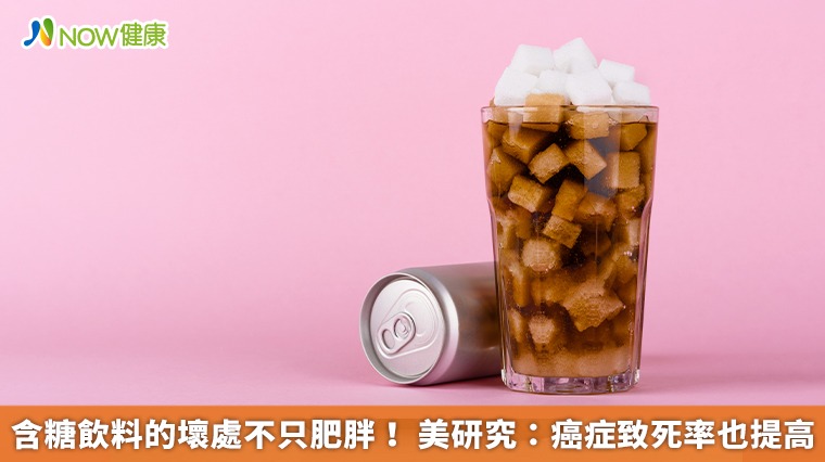 含糖飲料的壞處不只肥胖！美研究：癌症致死率也提高