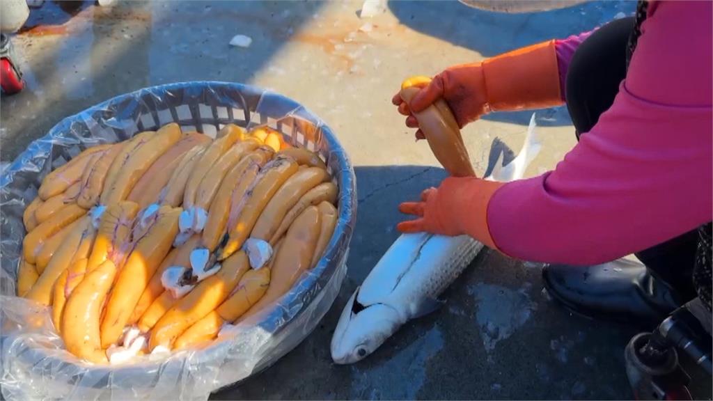 季風加成口湖烏魚子肥美　雲林漁會：今年沒漲！