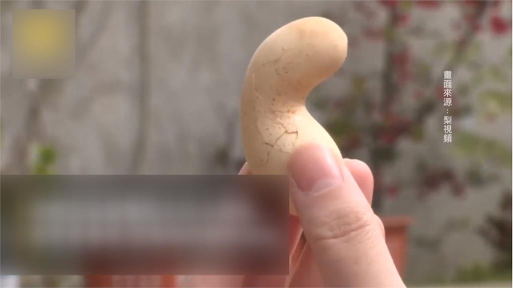 中國畸形「花生狀雞蛋」 專家建議：不要吃！