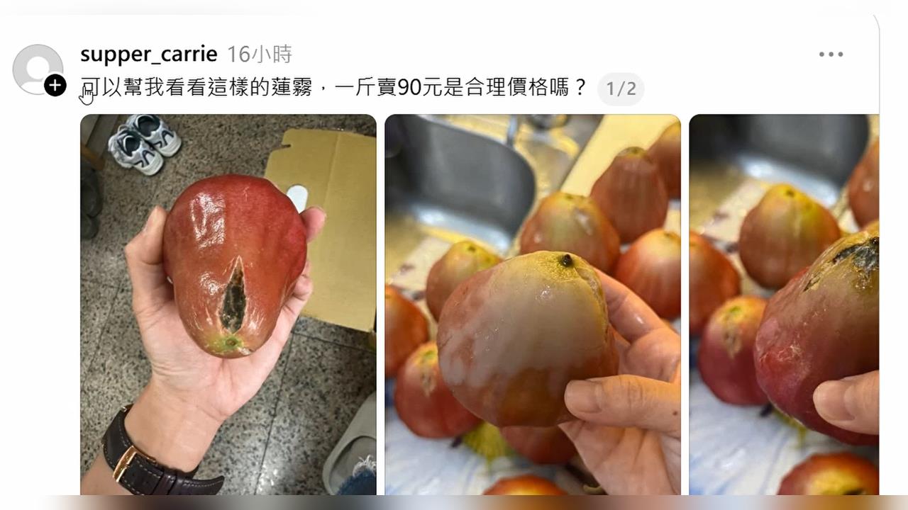 民眾買裂果蓮霧「爛掉又發霉」　PO文引蓮霧農關心