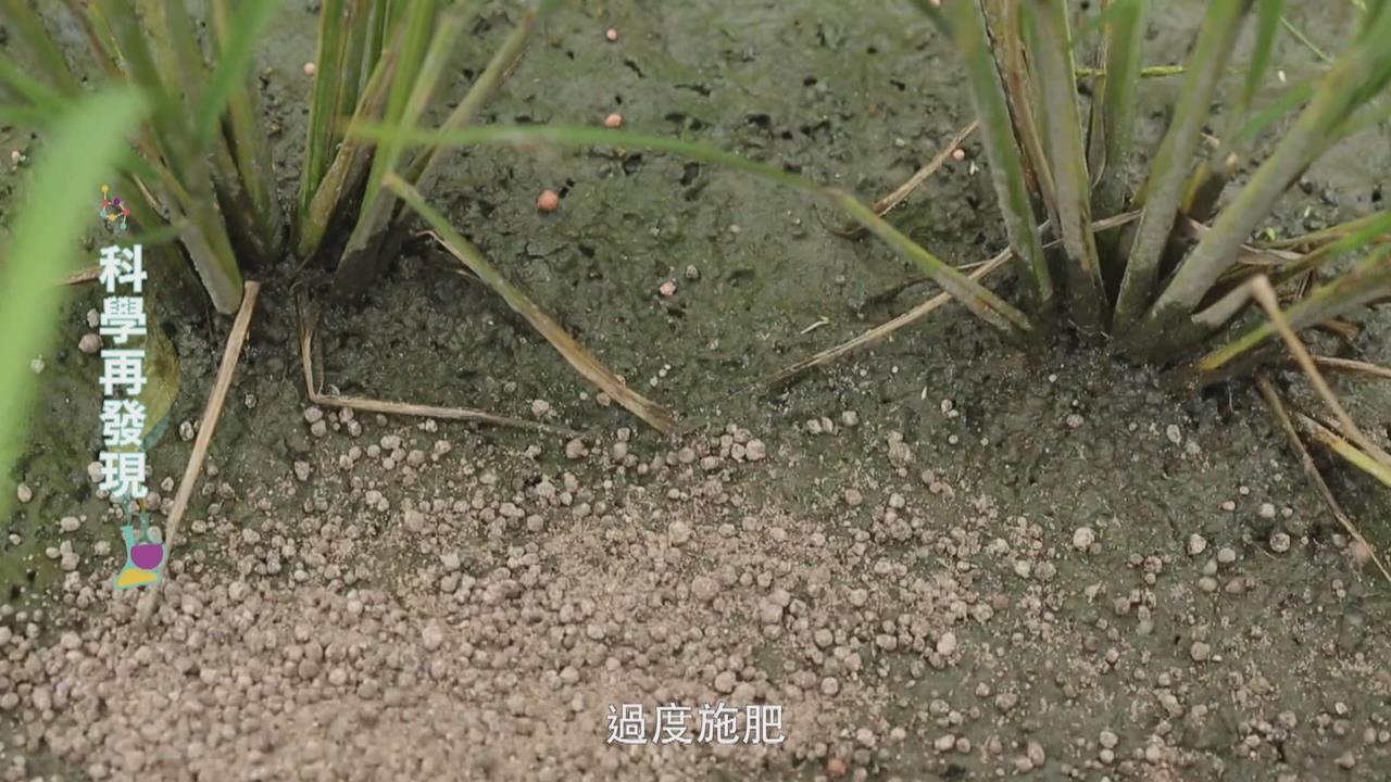 「過度施肥」反而有害作物！　「休耕輪作」可改善土壤