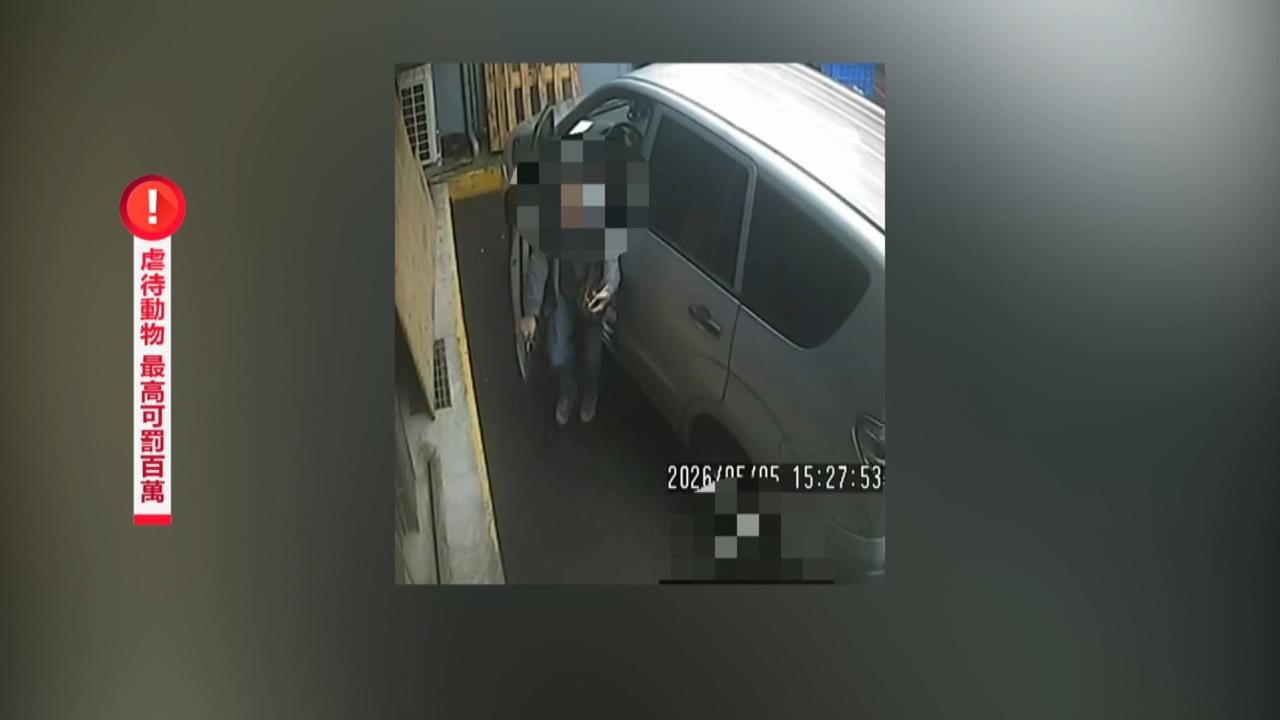 獨／冷血駕駛輾到狗不認肇事　還拉出輪下揚長而去「全都錄」