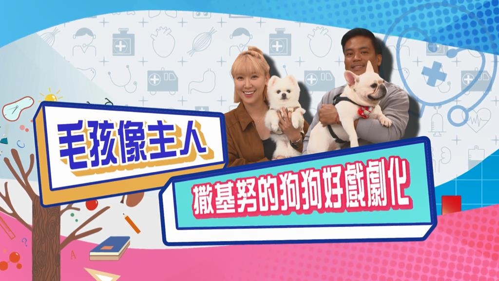 (影)／毛孩像主人 撒基努的狗狗好戲劇化？