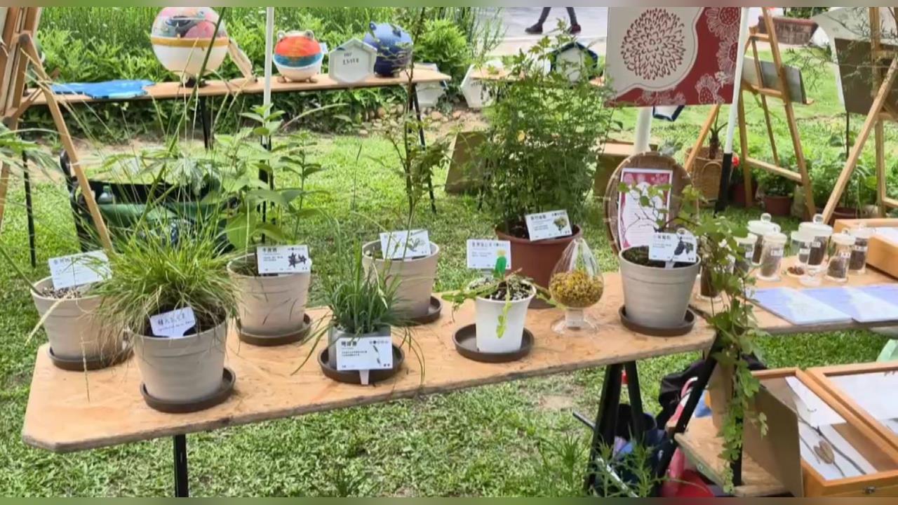 苗栗新埔國小變復育基地 保護逾17種受威脅植物