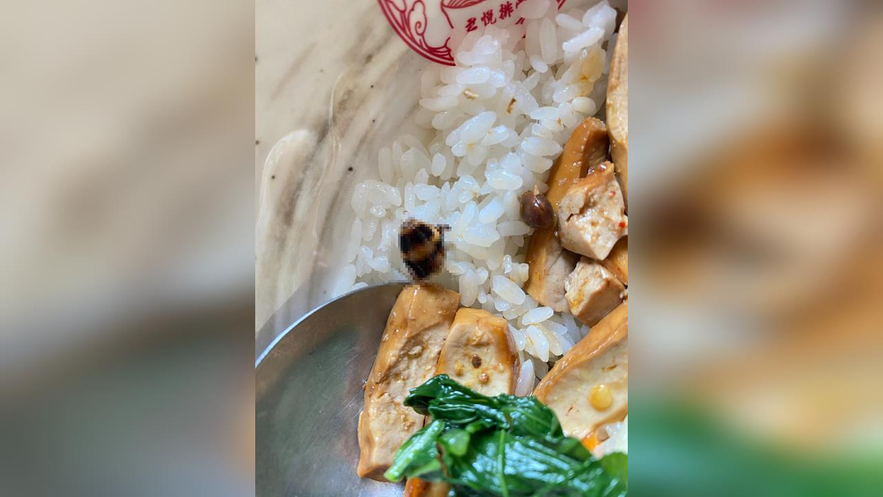 快新聞／「君悅排骨」吃到蟑螂頭！消費者直呼噁心　店長道歉退款