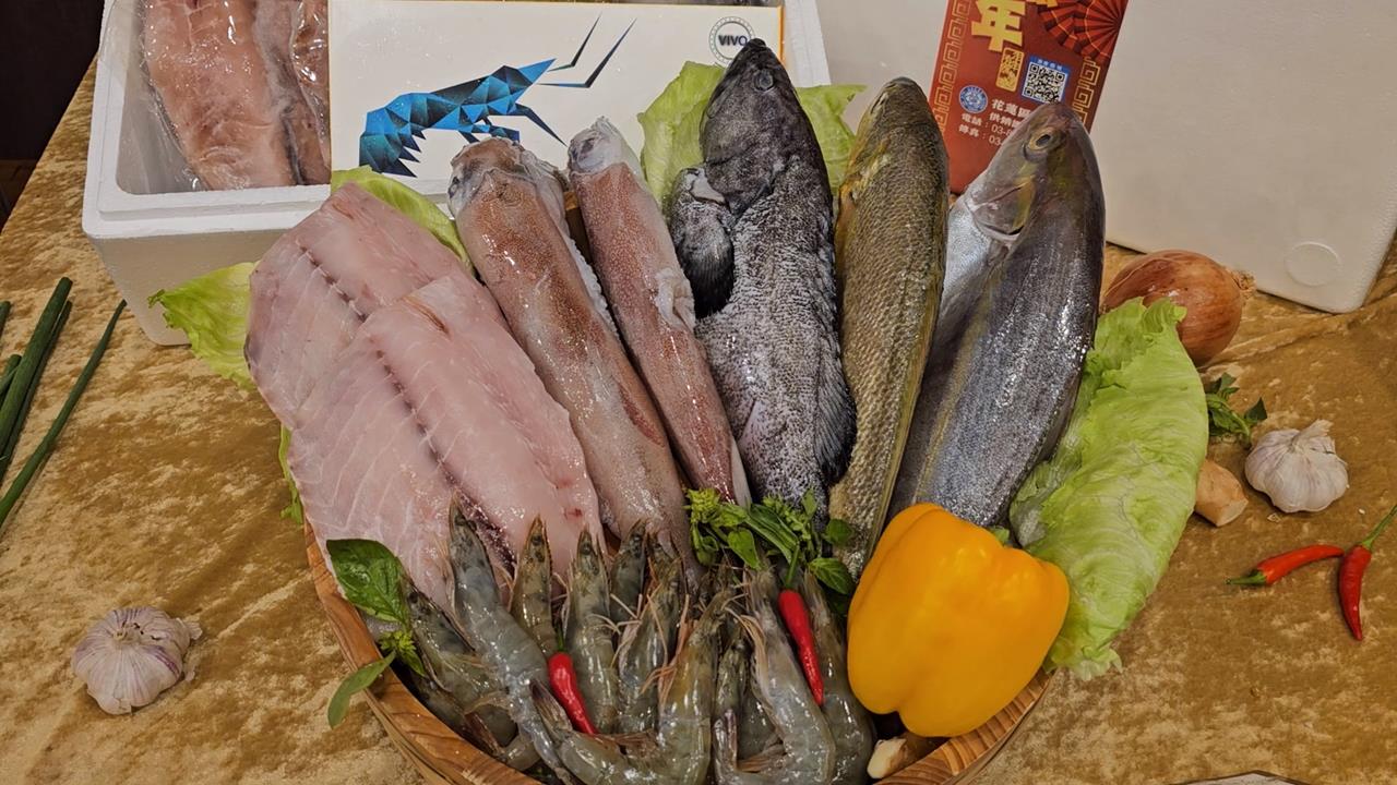 花蓮區漁會助漁業復甦　推出年節漁產禮盒助買氣