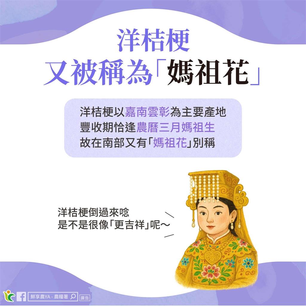 台灣五大外銷花「洋桔梗」產季登場!產地與美麗秘密解析