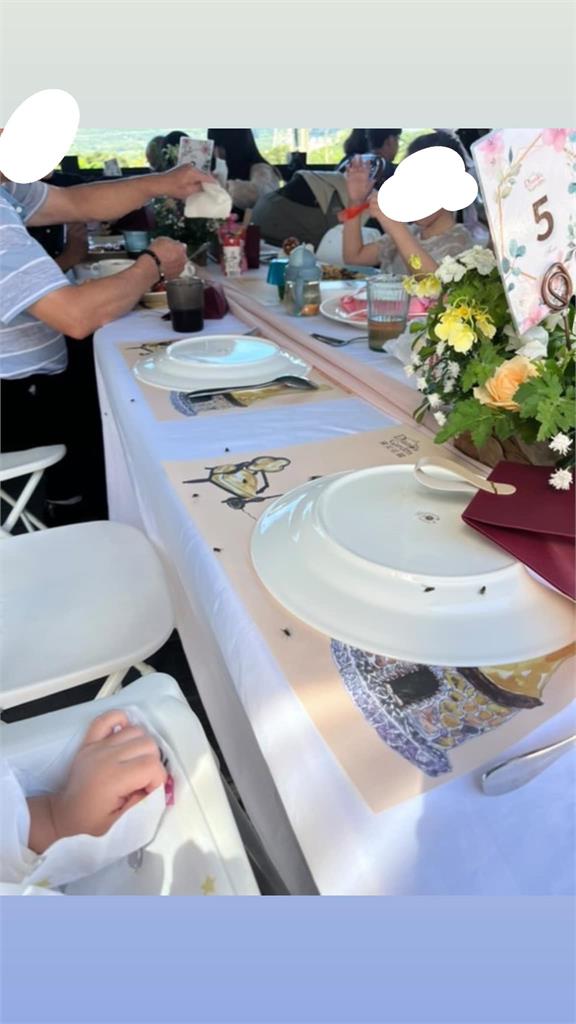 戶外婚禮遇「蒼蠅大軍」新人超尷尬　被刷一星負評：想吃蒼蠅頭可以來