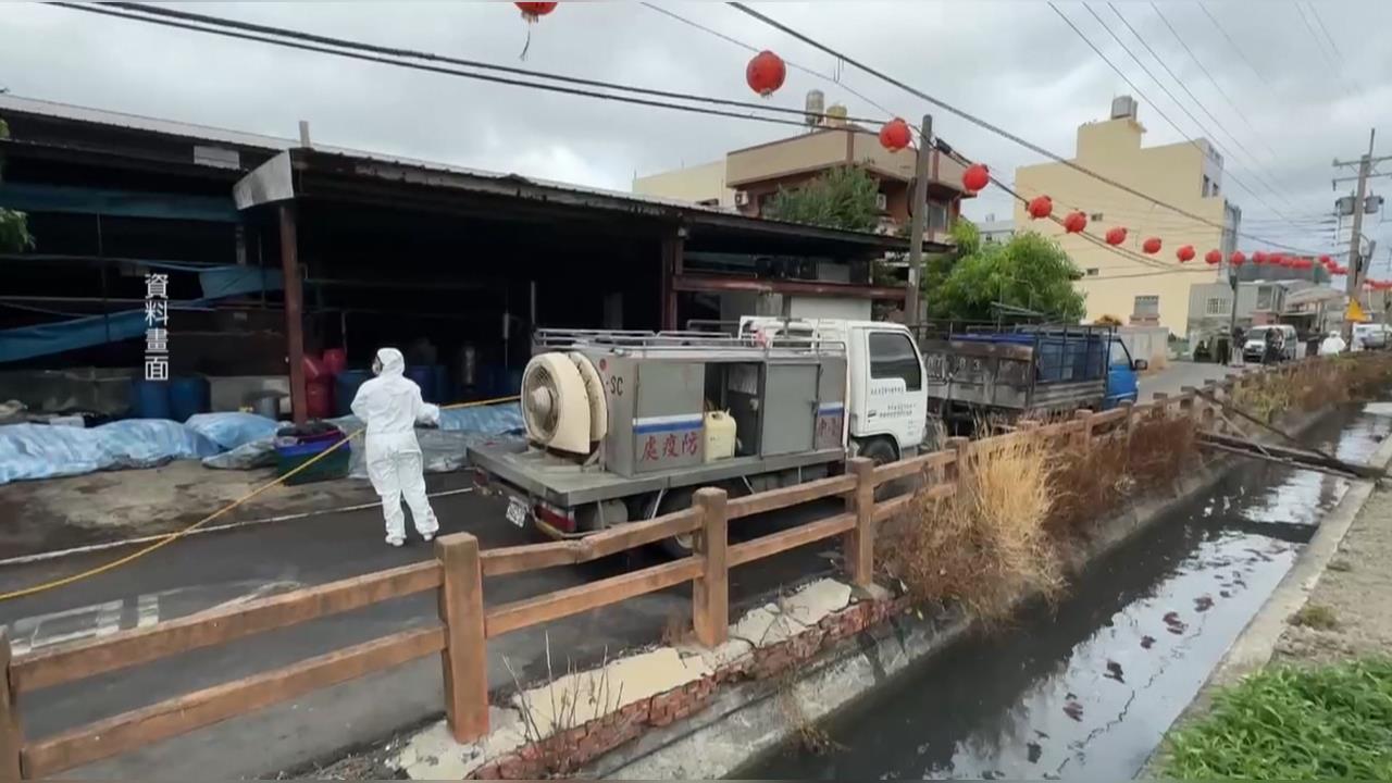 台中豬瘟案一審宣判　陳姓豬農父子分別判1年半與3年