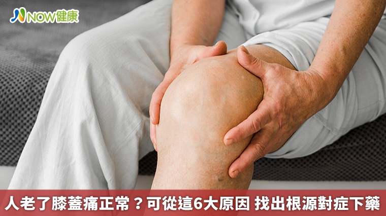 人老了膝蓋痛正常？可從這6大原因　找出根源對症下藥
