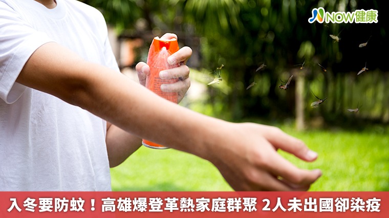 入冬要防蚊!高雄爆登革熱家庭群聚 2人未出國卻染疫