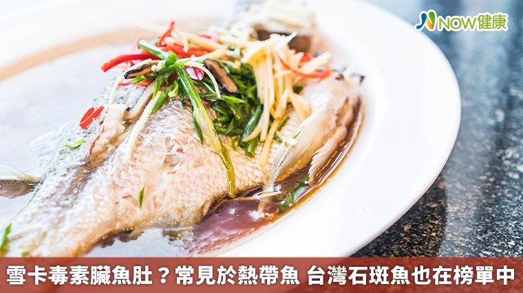 雪卡毒素臟魚肚？常見於熱帶魚　台灣石斑魚也在榜單中