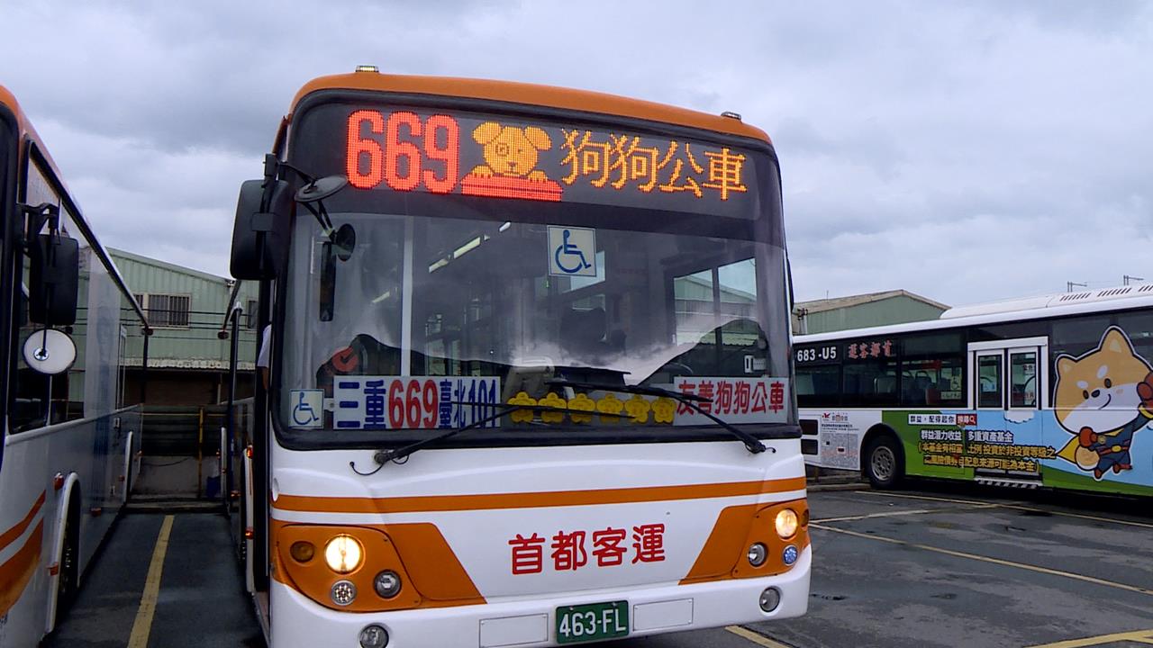 貴桑桑！　寵物「高齡化」看病需求高　醫院趁亂「宰肥羊」飼主負擔重