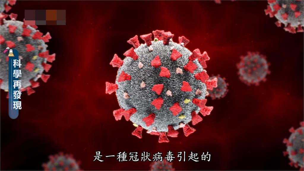解碼COVID-19！一窺病毒的奧妙