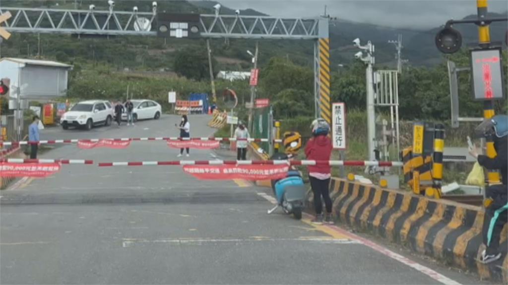 台東「櫻木花道平交道」爆紅　遊客近距拍照險象生