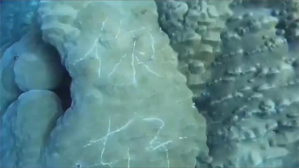 蘭嶼百年珊瑚被刻「你好」　潛水教練氣炸