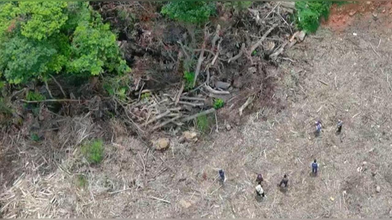 三義保育山坡地遭濫倒 垃圾山面積大如足球場