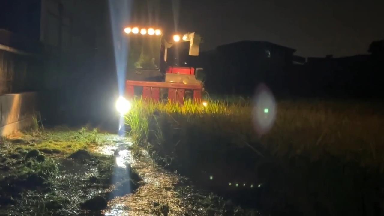 「鳳凰」颱風步步進逼！中部備戰　台中廚餘湖憂溢流、雲林稻農提前收割