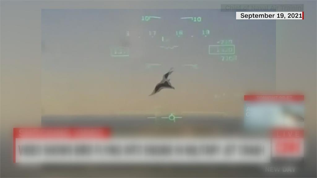 就快抵達基地！　美軍教練機引擎遭「鳥擊」失控墜毀