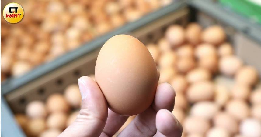 一天狂吃6顆蛋沒事？醫揭「1族群」小心壞膽固醇飆升