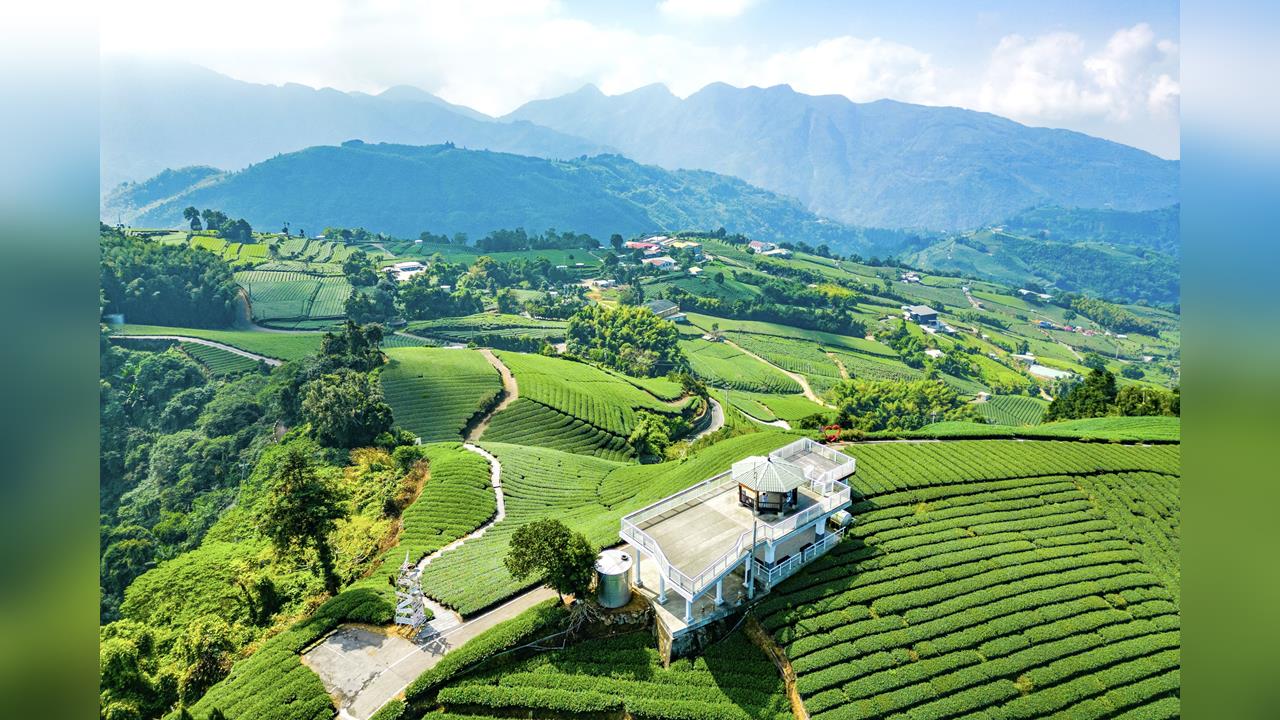 茶園、瀑布到紫藤花海　嘉義瑞里打造療癒系山林旅遊