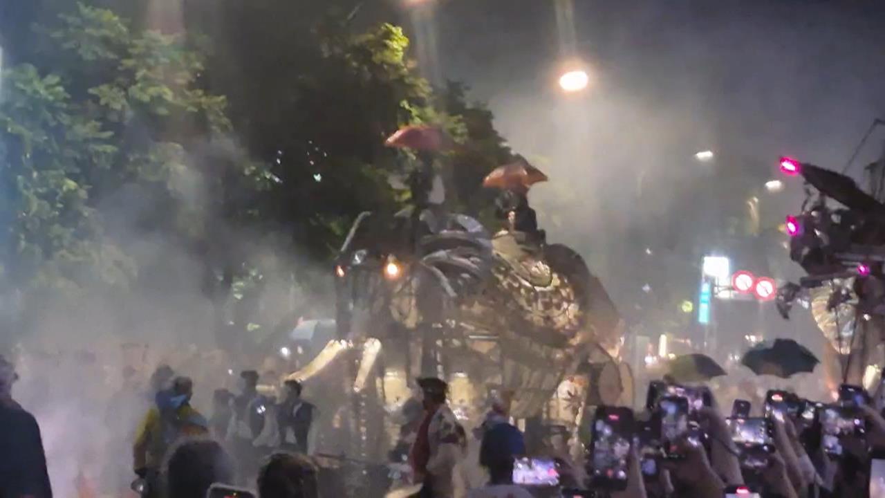 大象來了！民眾擠爆士林亂象多　踩踏花圃﹑疏散動線亂