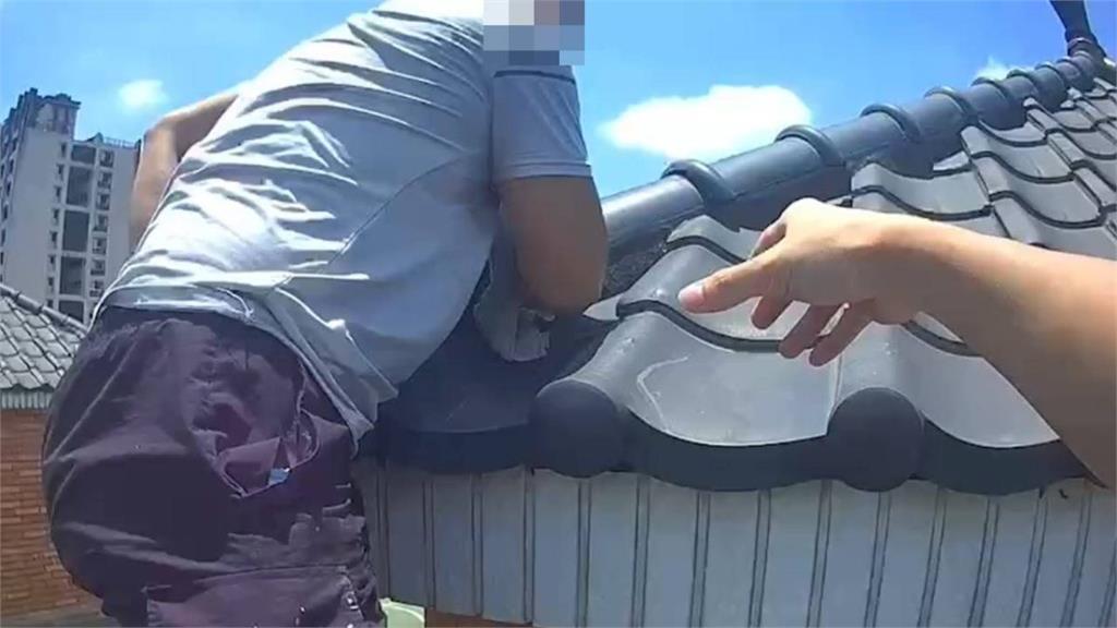 不要命？通緝犯爬屋頂躲藏 難逃警察法眼