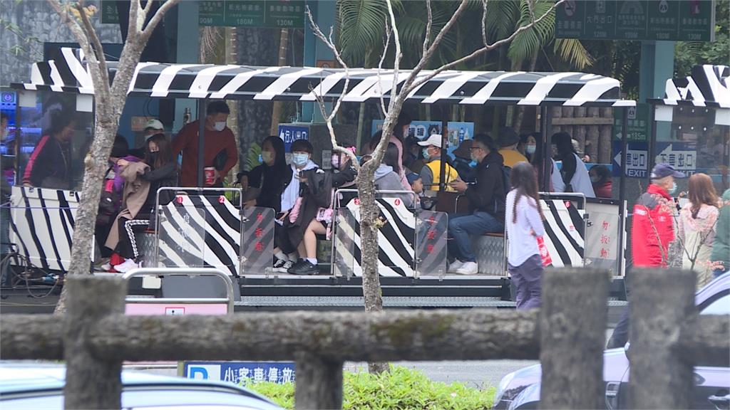 初一走春！台北動物園一度亮人潮燈號 太平山上午即湧入1500多人
