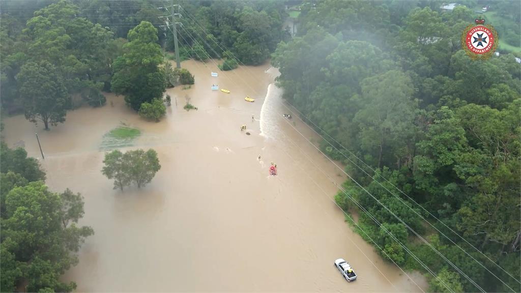 澳洲東部受氣旋侵襲 袋鼠洪水中漂流"剩一顆頭"