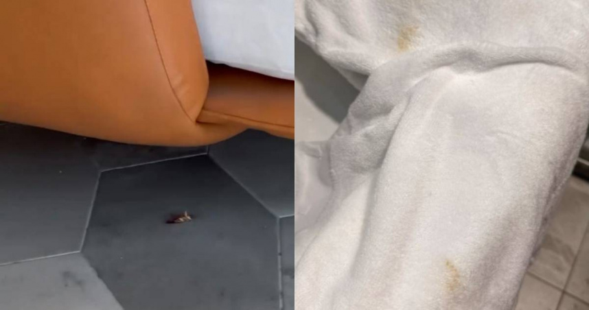 過年花6千入住台南旅宿爆雷! 大廳見死蟑螂、陽台有菸蒂、毛巾黃又濕