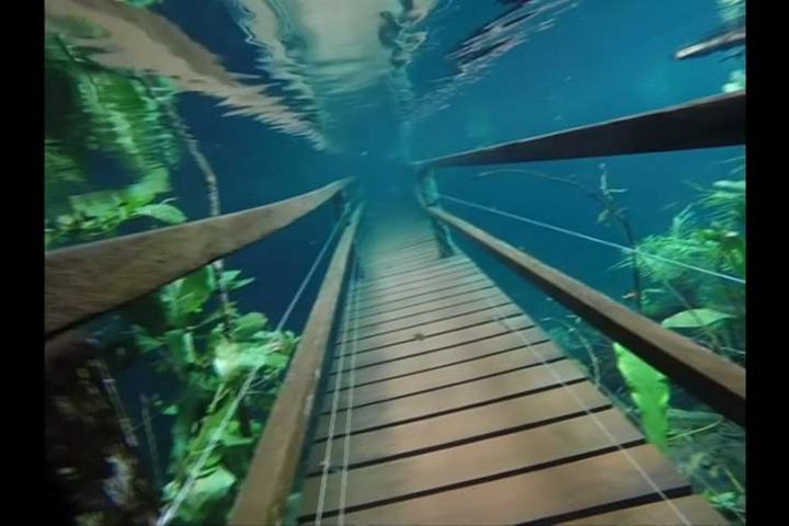 巴西生態區步道遭淹沒 美景成新景點