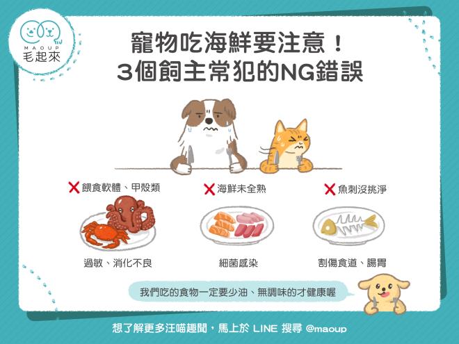 【毛孩飲食】寵物吃海鮮要注意！3個飼主常犯的NG錯誤｜寵物愛很大