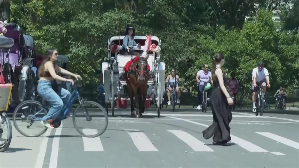 紐約中央公園馬車爭議　觀光傳統、動保安全難兼顧