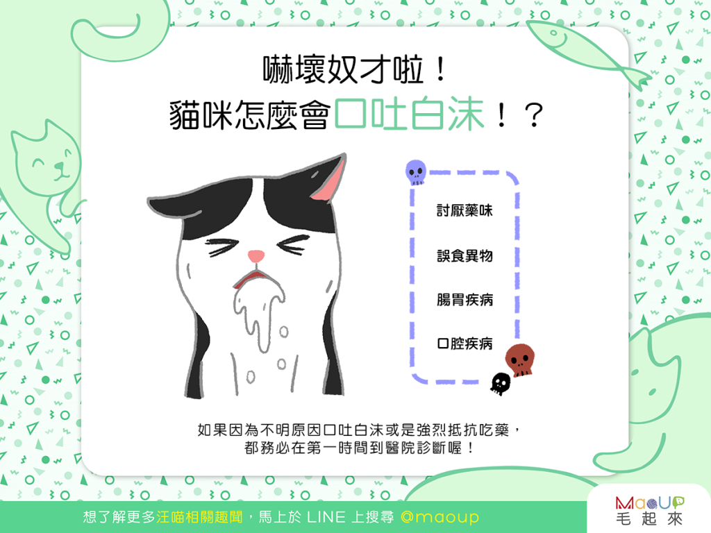 【喵喵康健】嚇！貓咪怎麼會口吐白沫！？