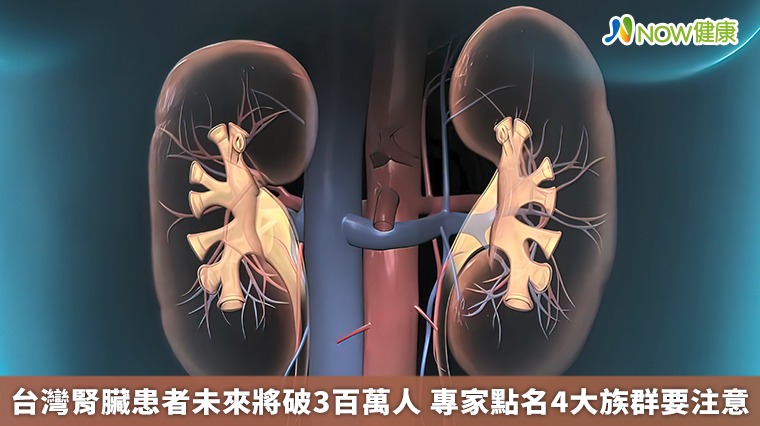 台灣腎臟患者未來將破3百萬人　專家點名4大族群要注意