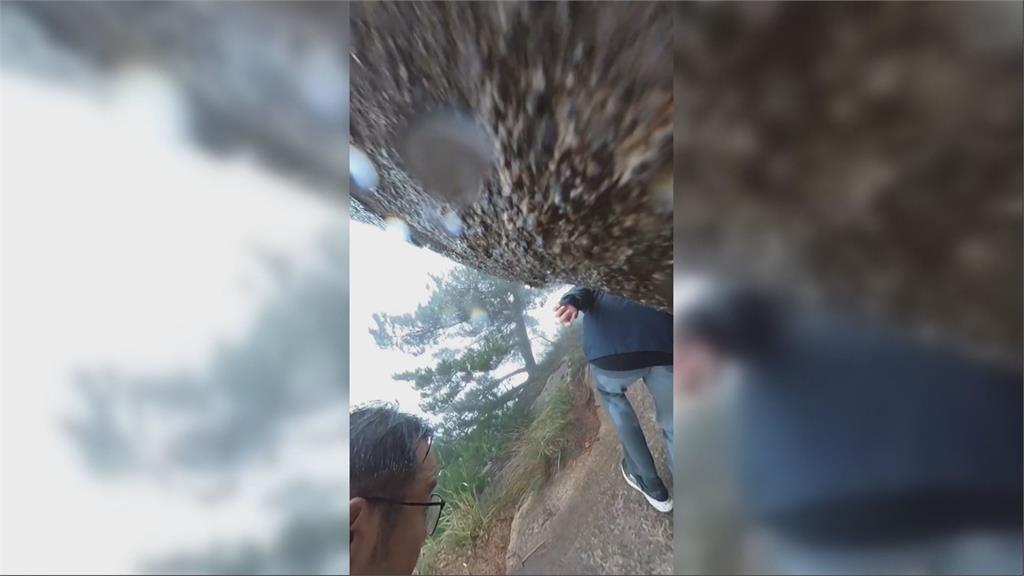 男登山墜崖40米「被樹擋住」　隨身攝影機拍下驚險過程