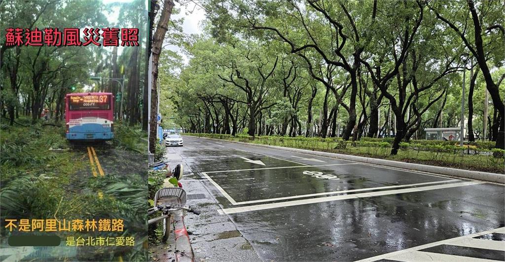 快新聞／網傳北市仁愛路「路樹整排倒」變叢林　北市府澄清：假的！蘇迪勒舊照