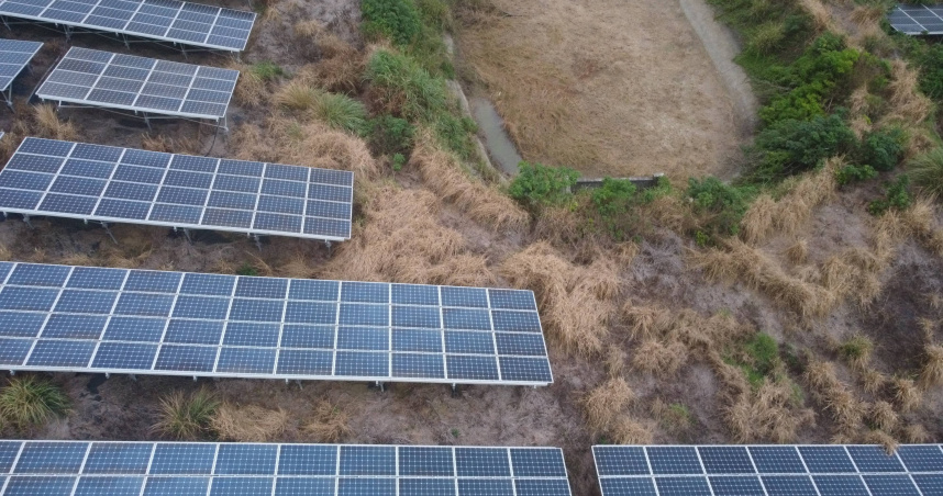 光電占家園1／石虎棲息地上使用除草劑　優良光電廠「友善生態」承諾跳票