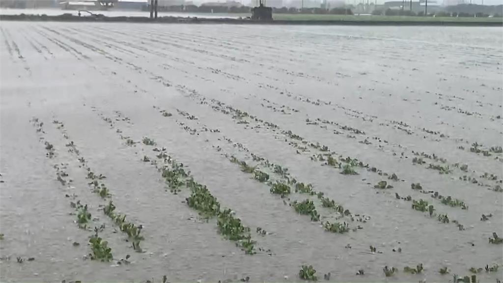 雨彈狂炸！中部蔬果"泡水"　下週菜價恐飆漲