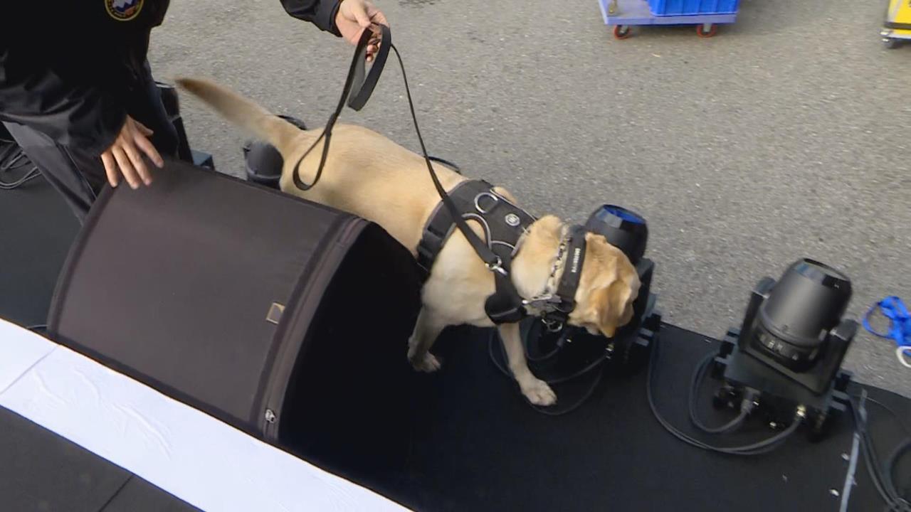 快新聞/北市跨年晚會「維安升級」 進場要安檢、過金屬探測器並開包檢查