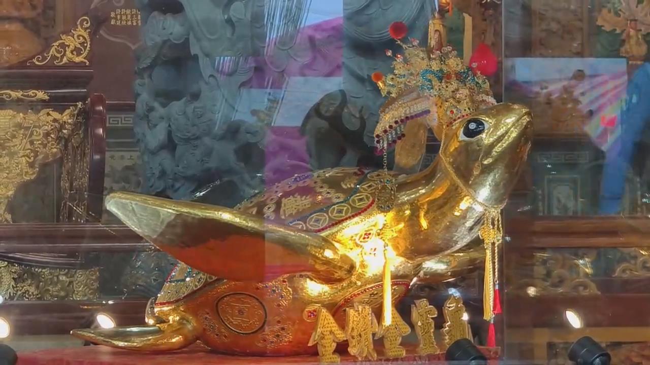 澎湖元宵「乞龜」求平安　431兩金靈龜身價破8千萬