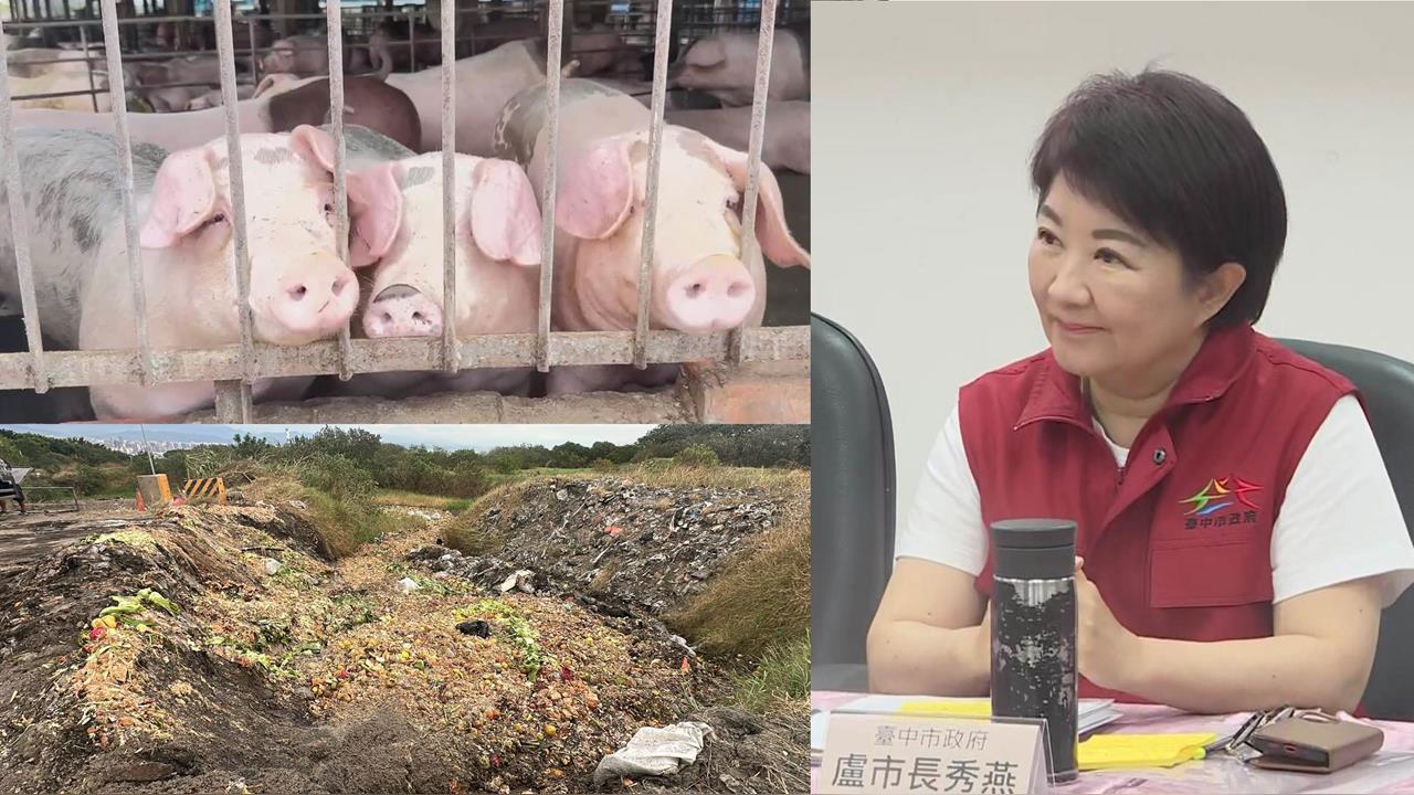 最前線(影)/台中非洲豬瘟引爆盧秀燕危機?苗博雅:「政治補妝術」大破功!