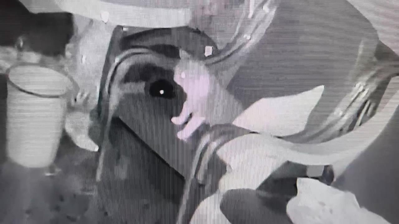 高雄台南一夜連續4起地震　有3起最大震度4級