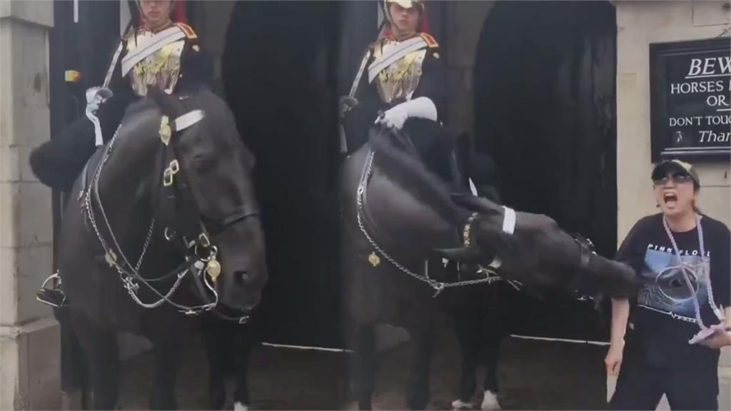 英國馬不爽了！中國人遊皇家騎兵衛隊博物館　「想合照卻遭咬傷」震撼片曝