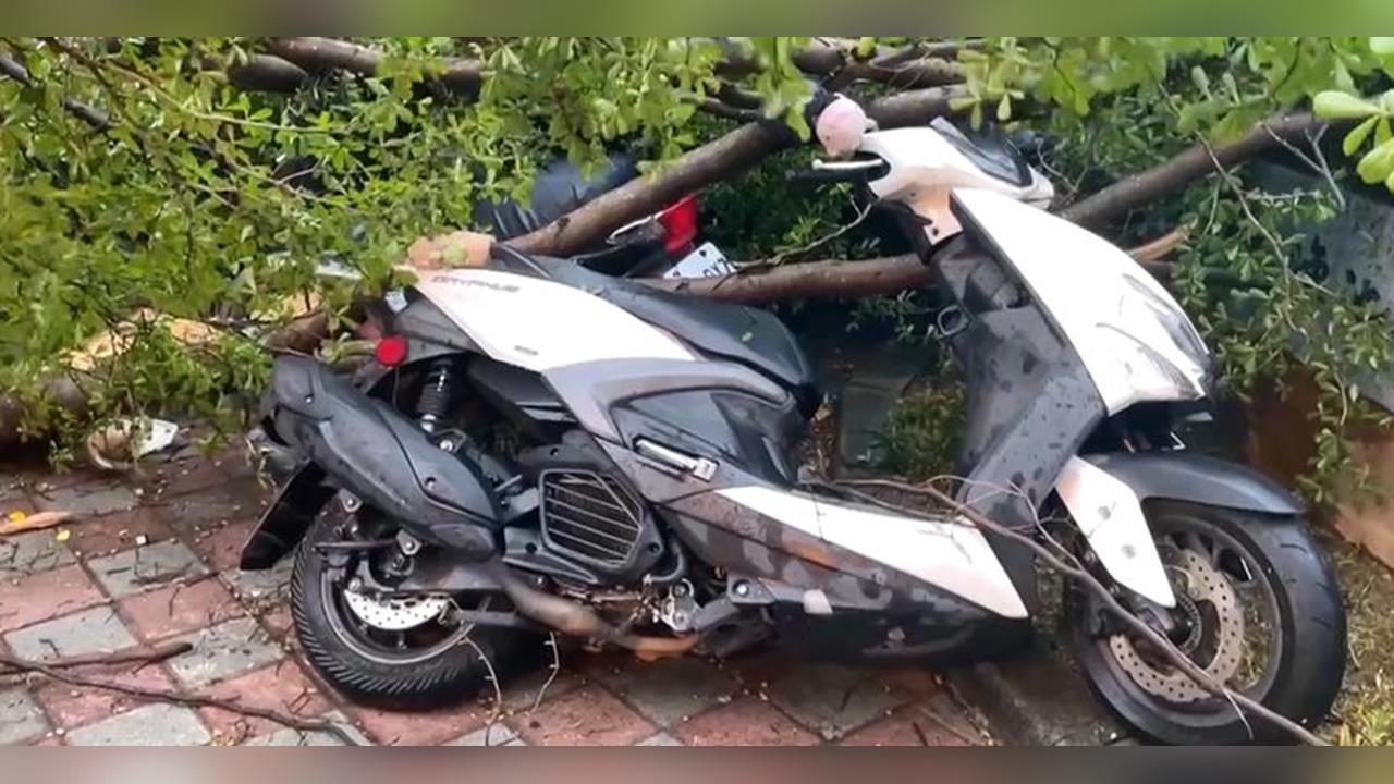 風王！海線10級風和平雨最猛　台中累計80多起災情共4人受傷