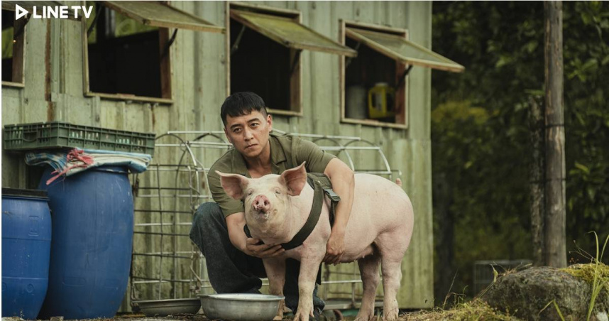 鄭人碩跟「豬演員」對戲: 好像真的在聽我講話