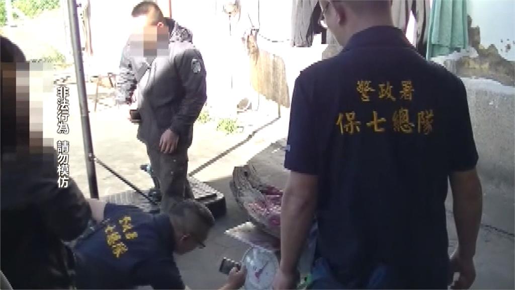 苗栗保七破獲竊木集團　夥同在地人假狩獵真盜伐